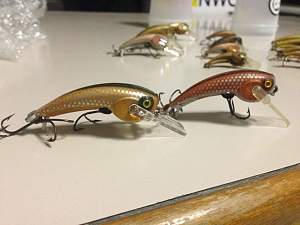 Who Remembers Floppy Lures? - Blogs - Ausfish fishing Australia, Australian  Angling Forums