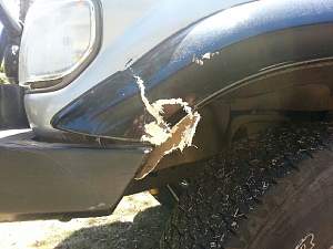 Click image for larger version. 

Name:	cruiser gaurd damage.jpg 
Views:	6 
Size:	26.9 KB 
ID:	105613