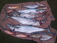 Click image for larger version. 

Name:	5deg haul 22.4.12.jpg 
Views:	0 
Size:	68.4 KB 
ID:	79204